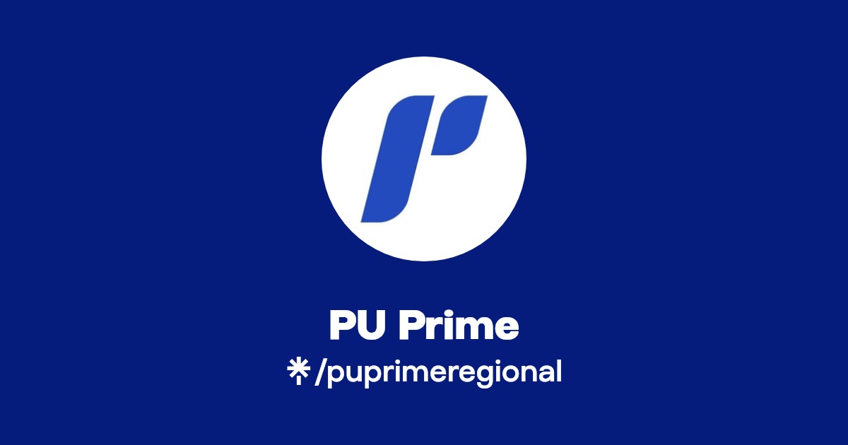 PU Prime外汇评测：塞舌尔监管，多国警告需留意