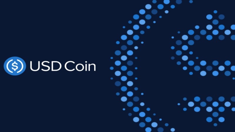 Circle Stock and USDC: Stablecoin Growth and Risks